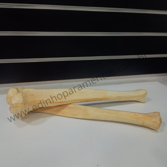 Par de Tíbias de Fibra